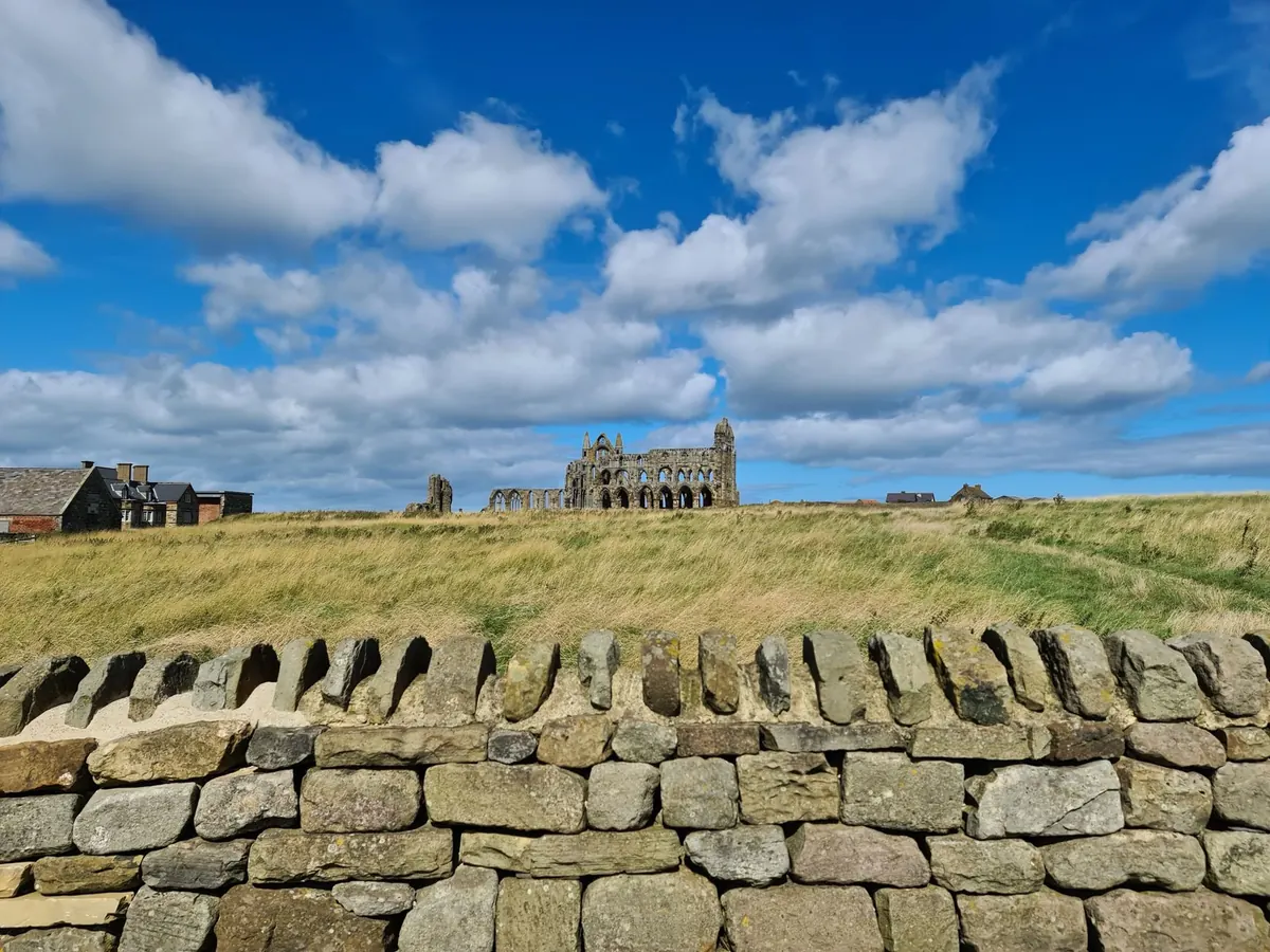 The Dissolution of the Monasteries: What Survived and Why